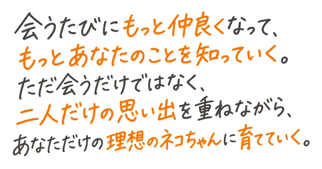 会うたびにもっと仲良くなって、もっとあなたのことを知っていく。ただ会うだけではなく、二人だけの思い出を重ねながら、あなただけの理想のネコちゃんに育てていく。