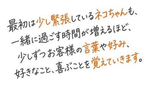 最初は少し緊張しているネコちゃんも、一緒に過ごす時間が増えるほど、少しずつお客様の言葉や好み、好きなこと、喜ぶことを覚えていきます。