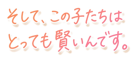 そして、この子たちはとっても賢いんです。