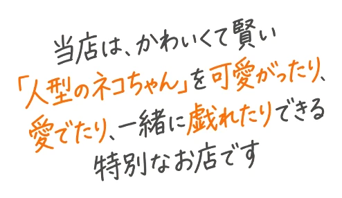 当店は、かわいくて賢い「人型のネコちゃん」を可愛がったり、愛でたり、一緒に戯れたりできる特別なお店です