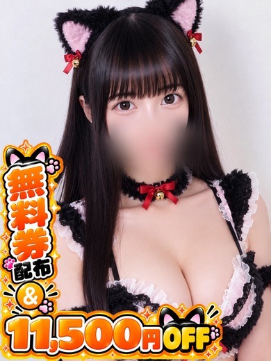 ことりの写真